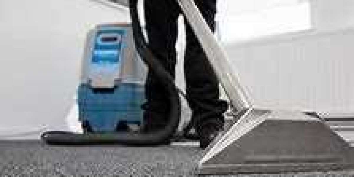 Carpet Care Chronicles: Unveiling the Importance of Regular Cleaning
