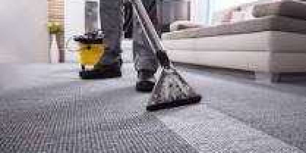 Why Every Home Needs Regular Professional Carpet Cleaning