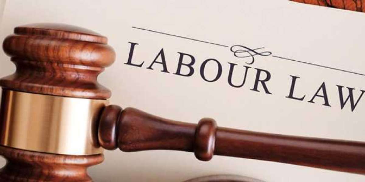 Preventing Workplace Legal Issues with the Expertise of a Labour Law Specialist