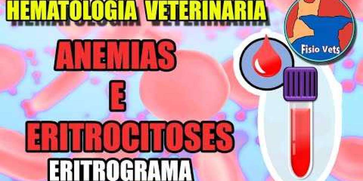 Cuidados Essenciais para Garantir a Saúde do Seu Cão com Hipotireoidismo