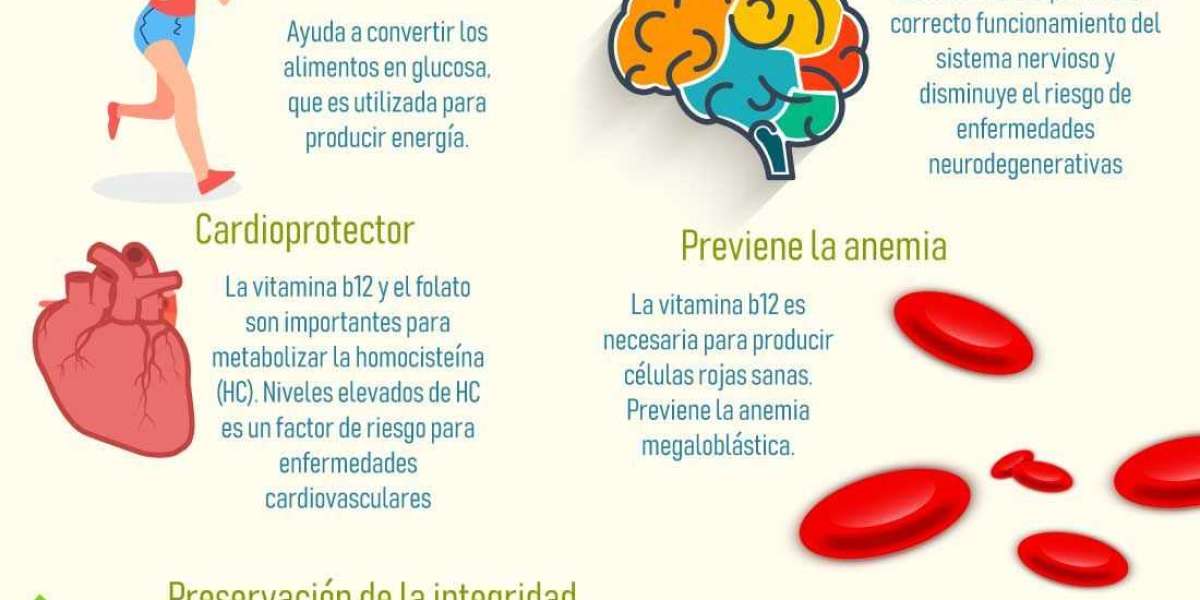 Vitamina B7: qu� enfermedades ayuda a prevenir y en qu� alimentos se encuentra