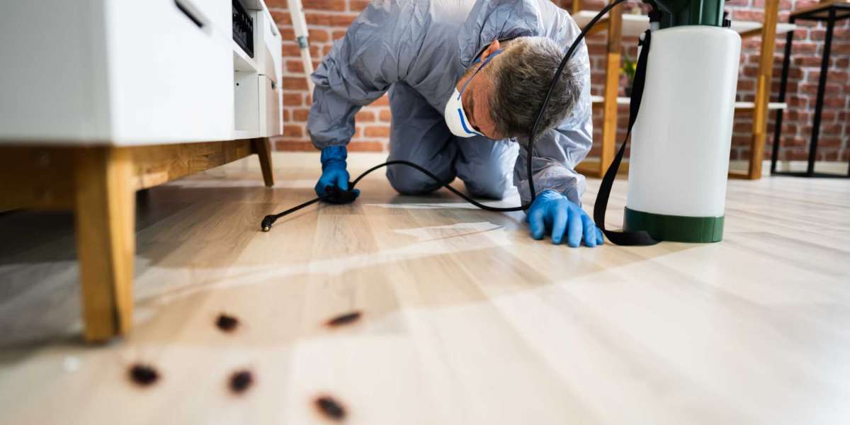 Pest Control Services in Aurora: Keeping Your Home and Business Pest-Free