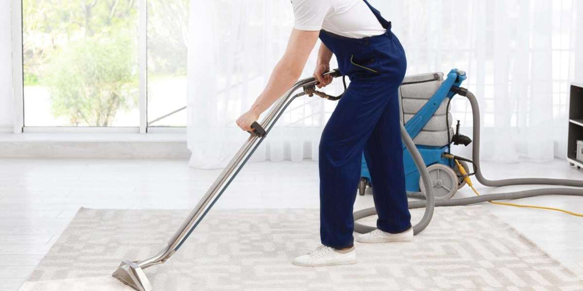 Create a Cozy Home Environment with Professional Carpet Cleaning