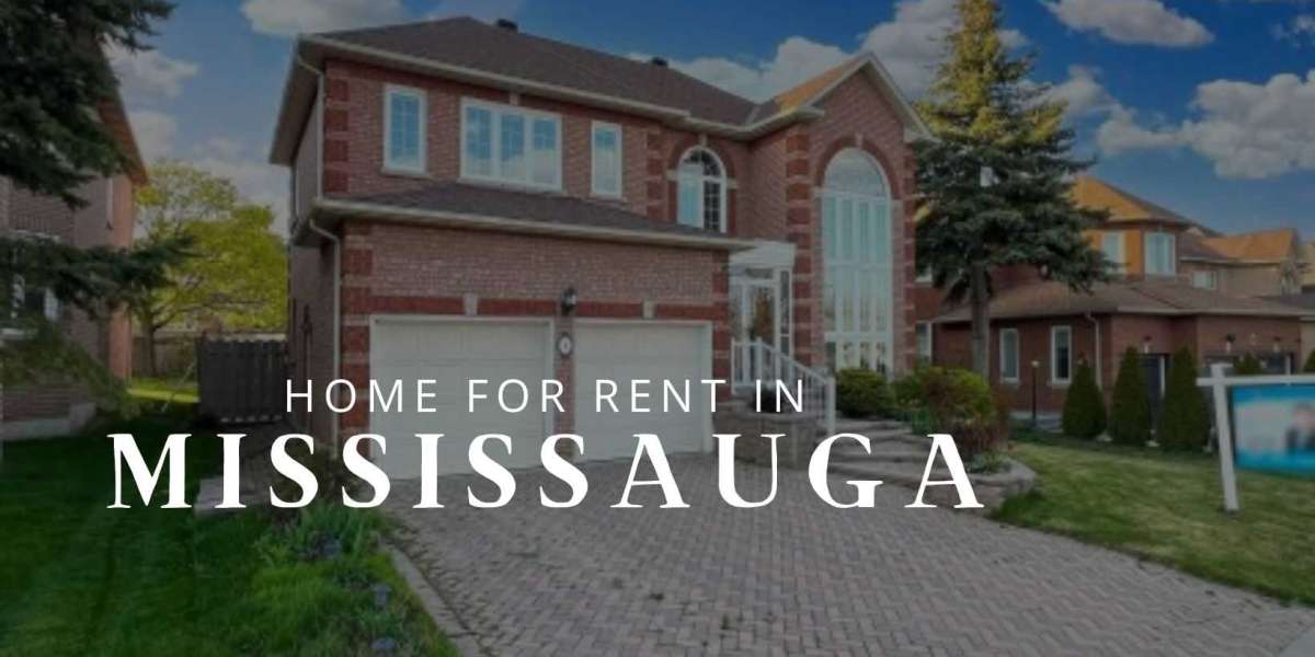 Creating Your Perfect Rental Experience in Mississauga: A How-To Guide