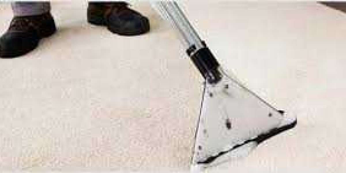 The Link Between Carpet Cleaning and Enhanced Home Comfort